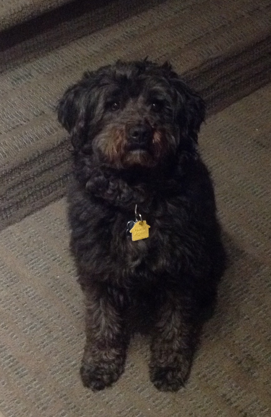 6BEEDE19-709E-4A77-B8F2-CB8F7005CEE5